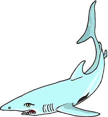 Shark